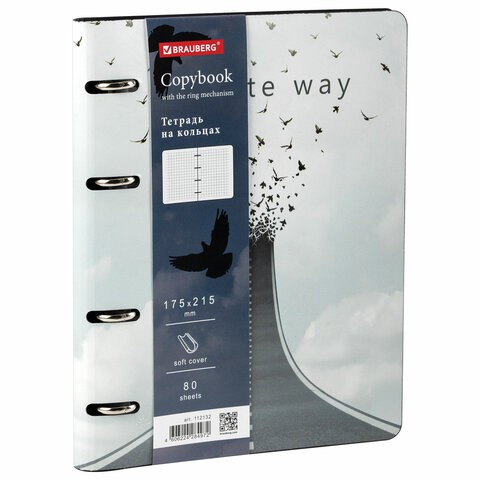 Тетрадь на кольцах А5 Brauberg Vista Infinite Way 80 листов, клетка 112132 , 